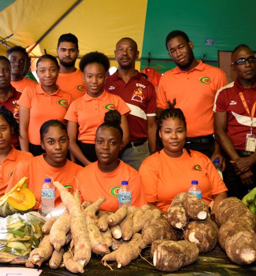 Sustainability Development